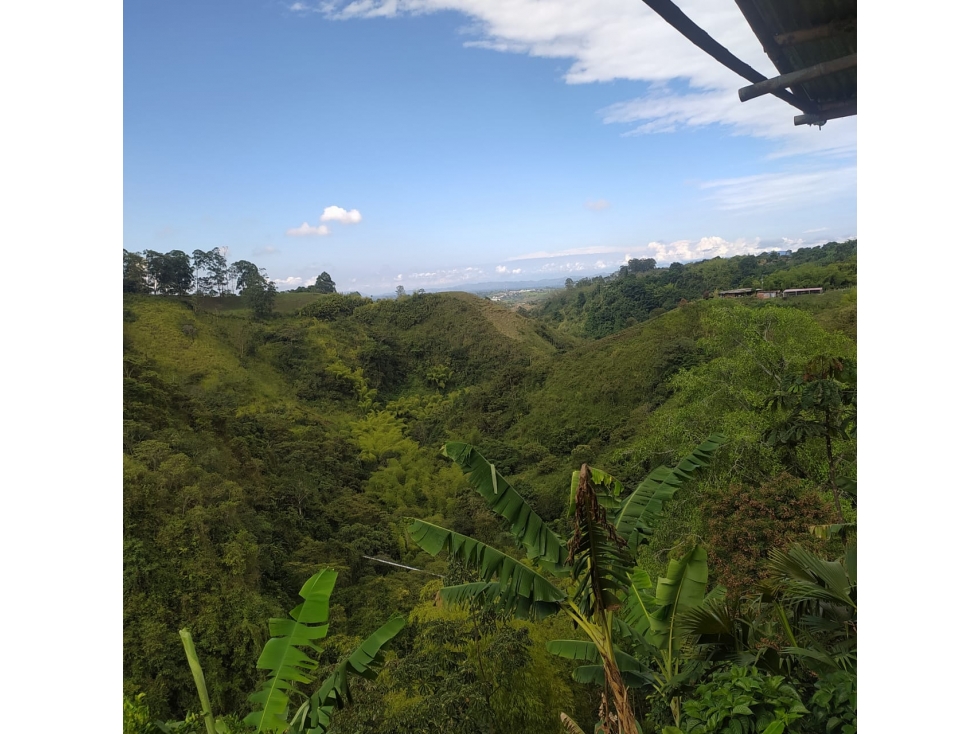 Se Vende Finca En Circasia - Quindío — foto 6