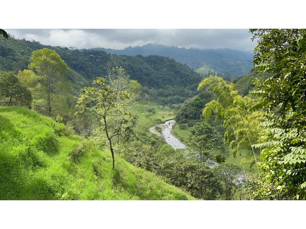 Se Vende Lote En Salento - Quindío - 2