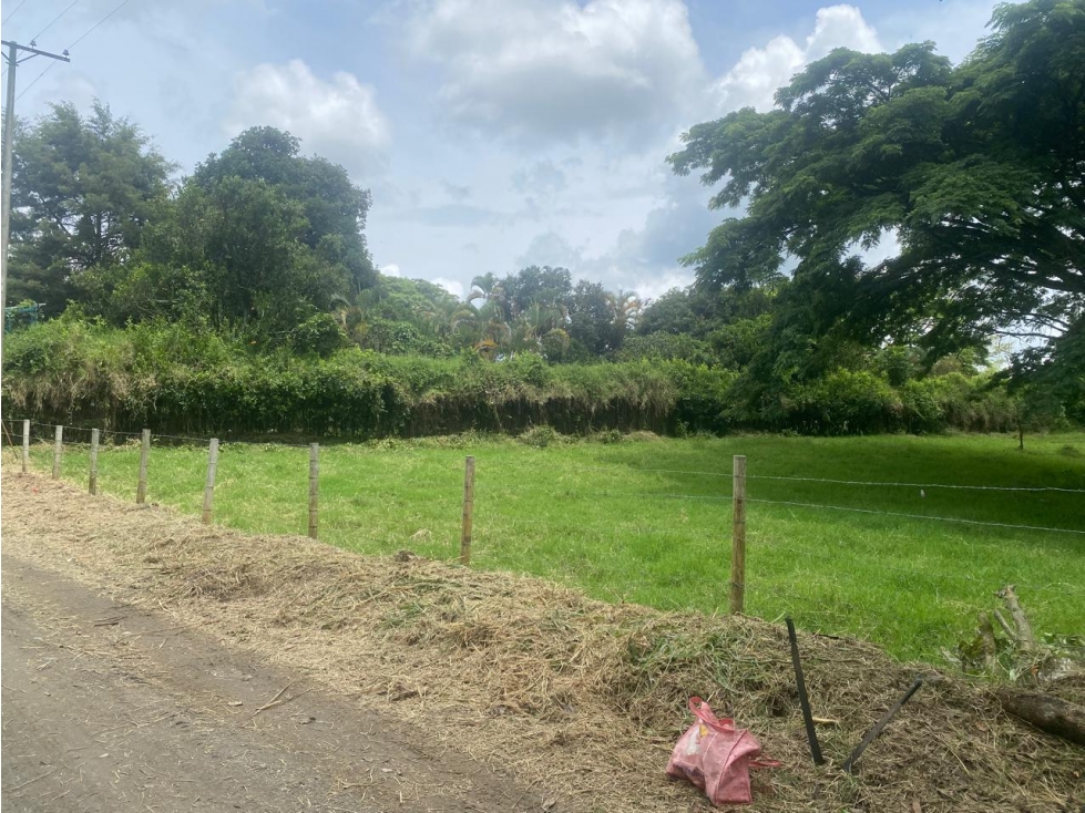 Se Vende Lote En Montenegro - Quindío — foto 4