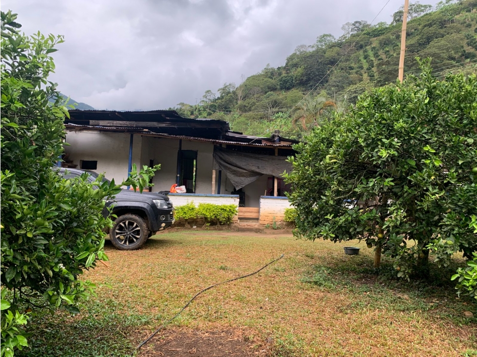 Se Vende Finca En Caicedonia - Valle Del Cauca - 2