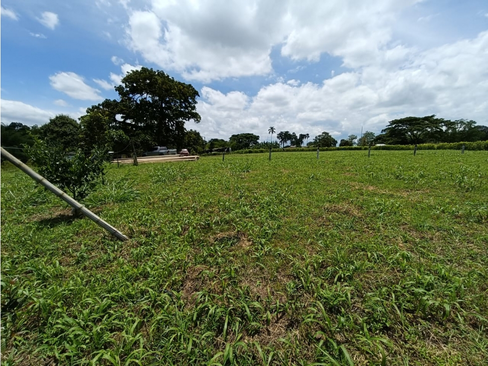 Se Vende Lote En Montenegro - Quindío — foto 2