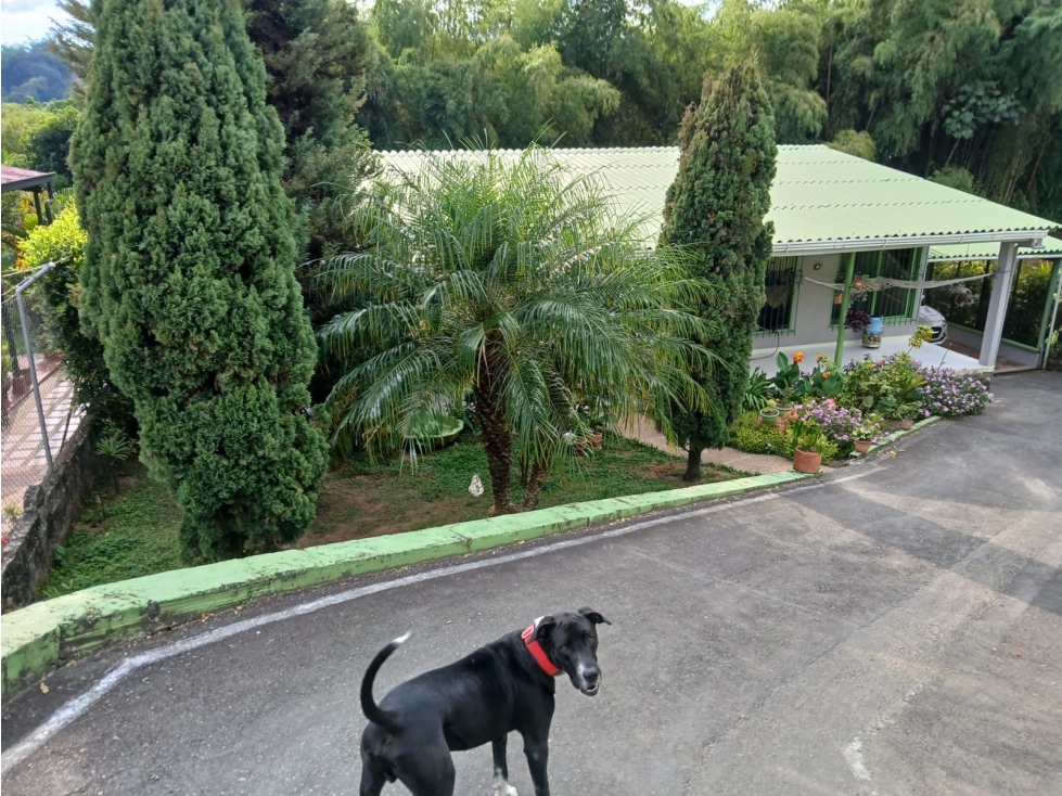 Se Vende Casa Campestre S. Av Centenario - Armenia - Quindío — foto 4