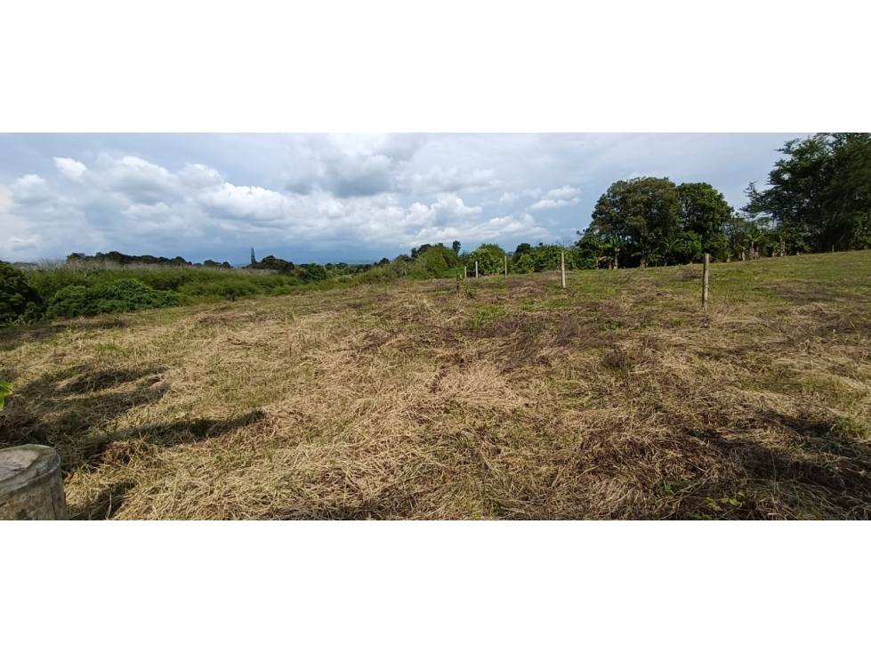 Se Vende Lote Vía Montenegro - Quimbaya - Quindío — foto 3