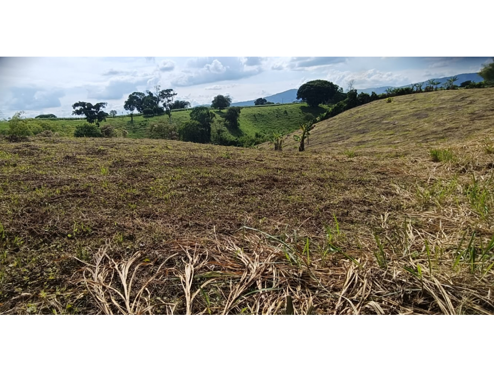 Se Vende Lote Vía Montenegro - Quimbaya - Quindío — foto 6