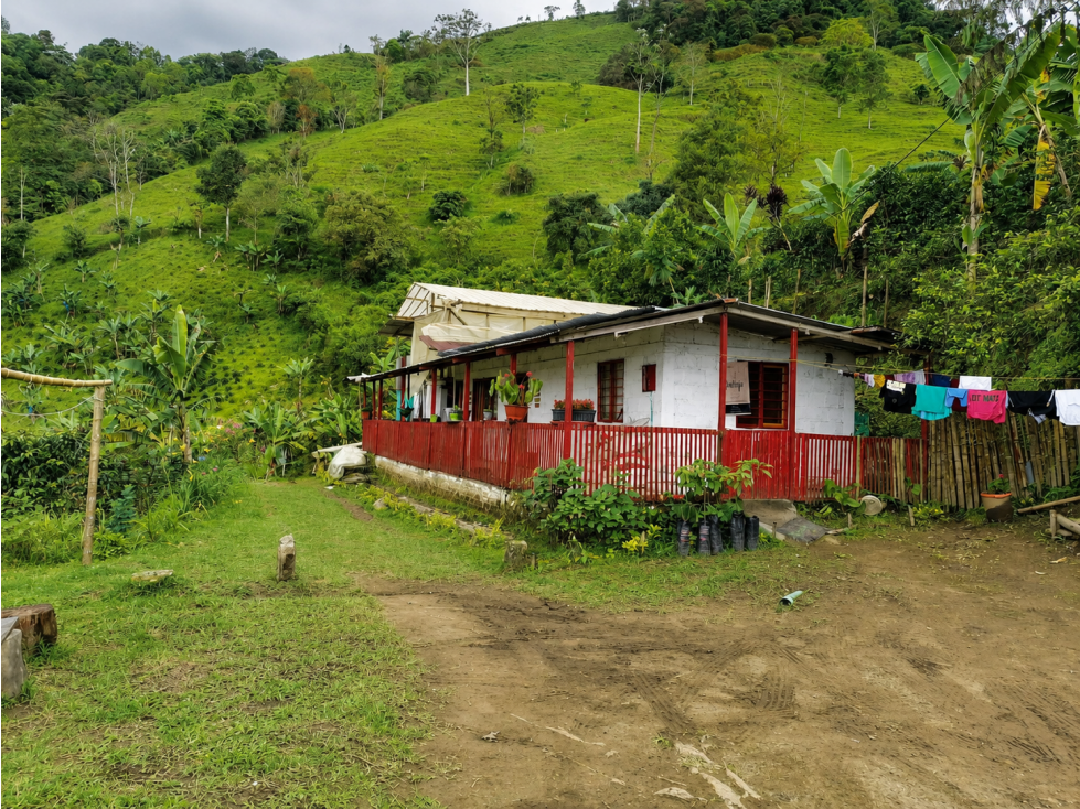 Se Vende Finca en Cordoba - Quindío.