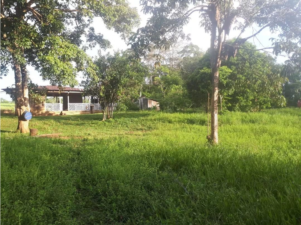 Se Vende Finca en Villavicencio - Meta - 6