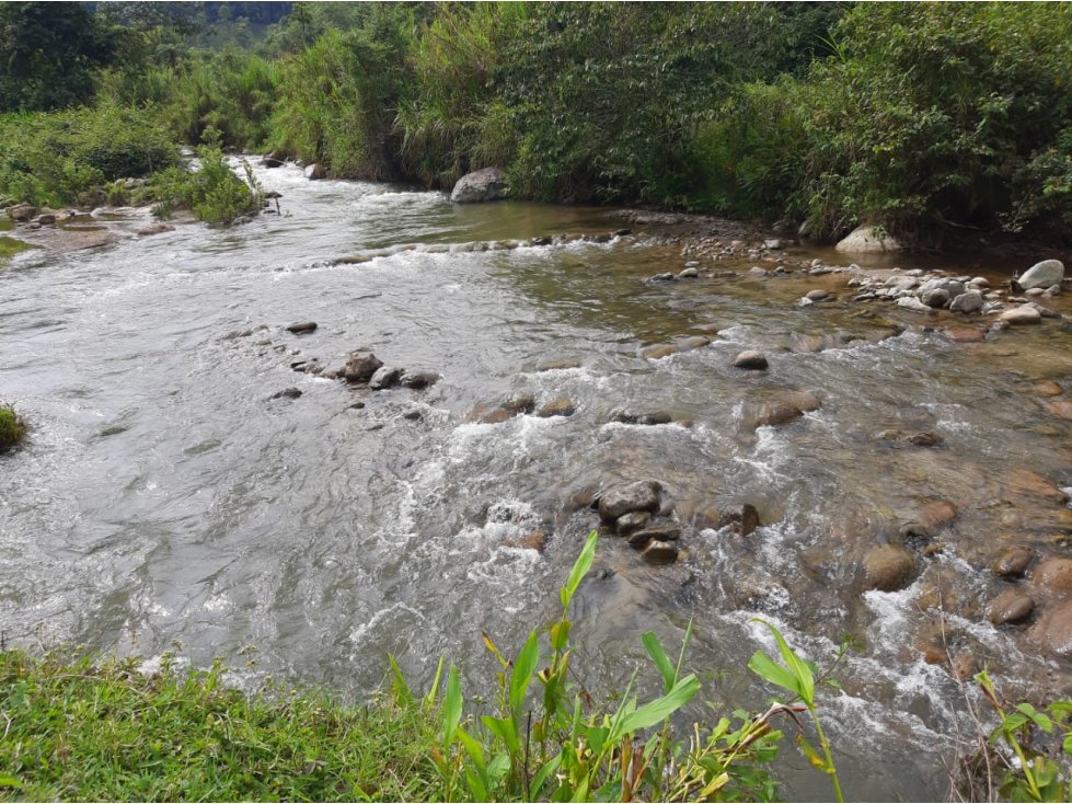 Se Vende Finca De 28 Cuadras En Salento - 6