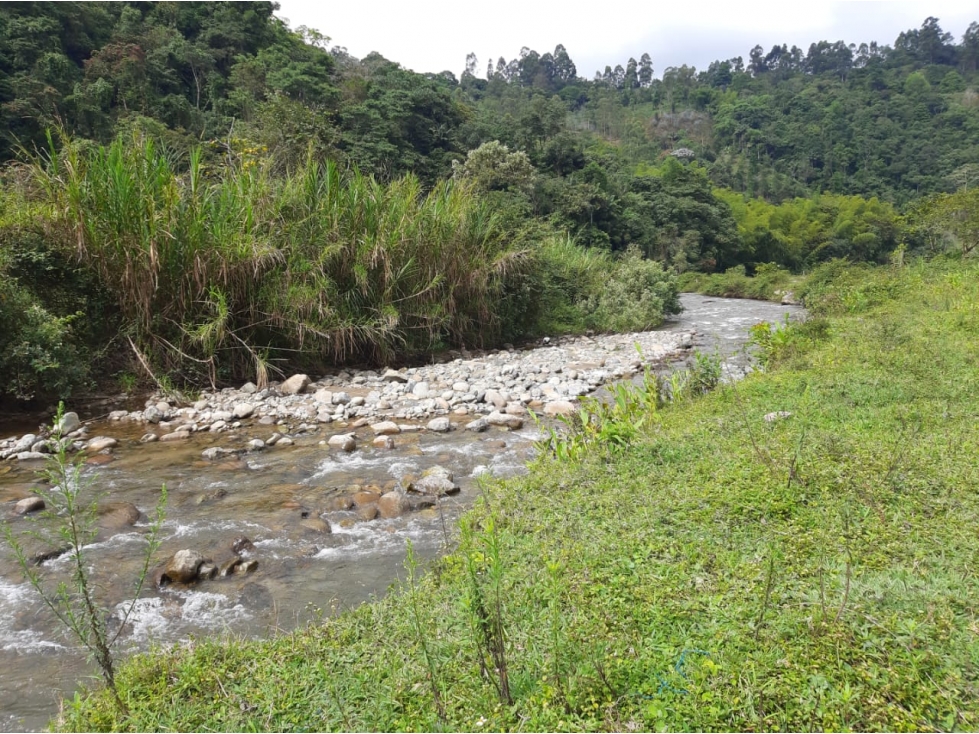 Se Vende Finca De 28 Cuadras En Salento - 5