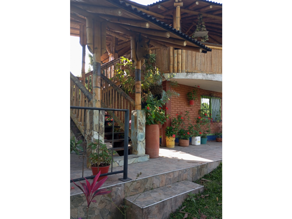 Se vende Lote Montenegro - Pueblo Tapao Quindío — foto 3