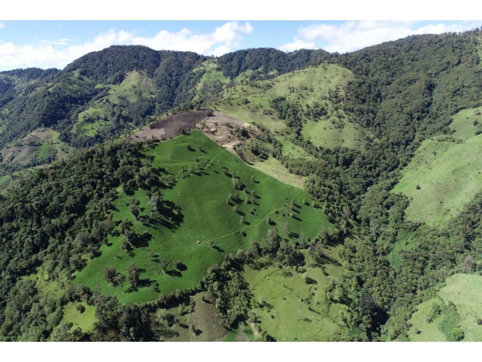 Se vende Finca Cajamarca Tolima - 6