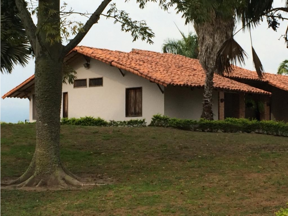 Se vende Finca En Caicedonia - Valle Del Cauca - 2
