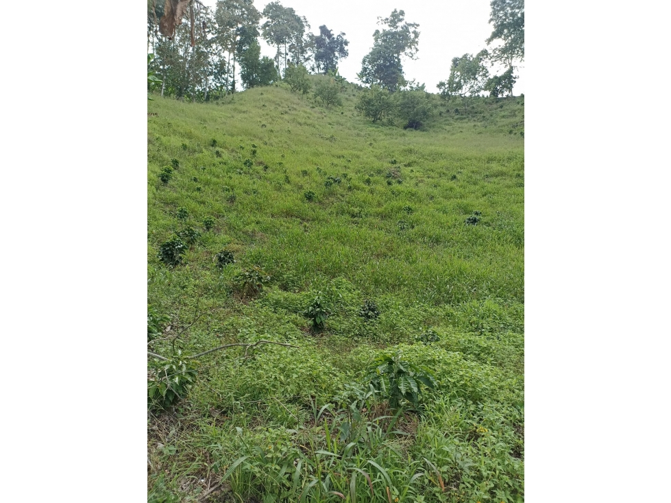 Se Vende Lote Cordoba Quindío - 1