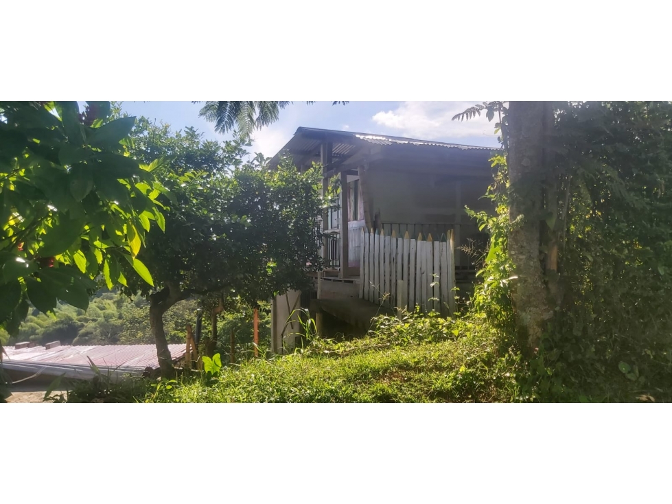 Se Vende Finca En Cordoba - Quindío - 2