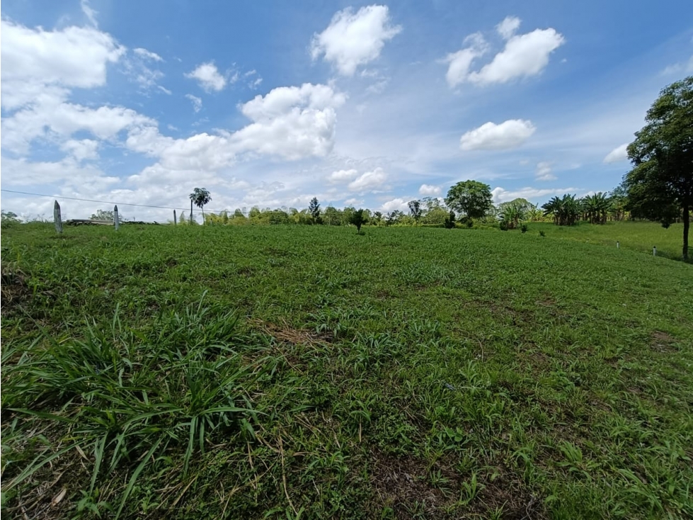 Se Vende Lote En Montenegro - Quindío — foto 3