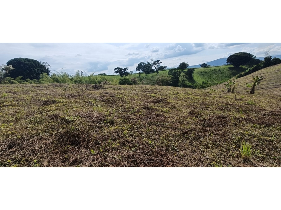 Se Vende Lote Vía Montenegro - Quimbaya - Quindío — foto 4