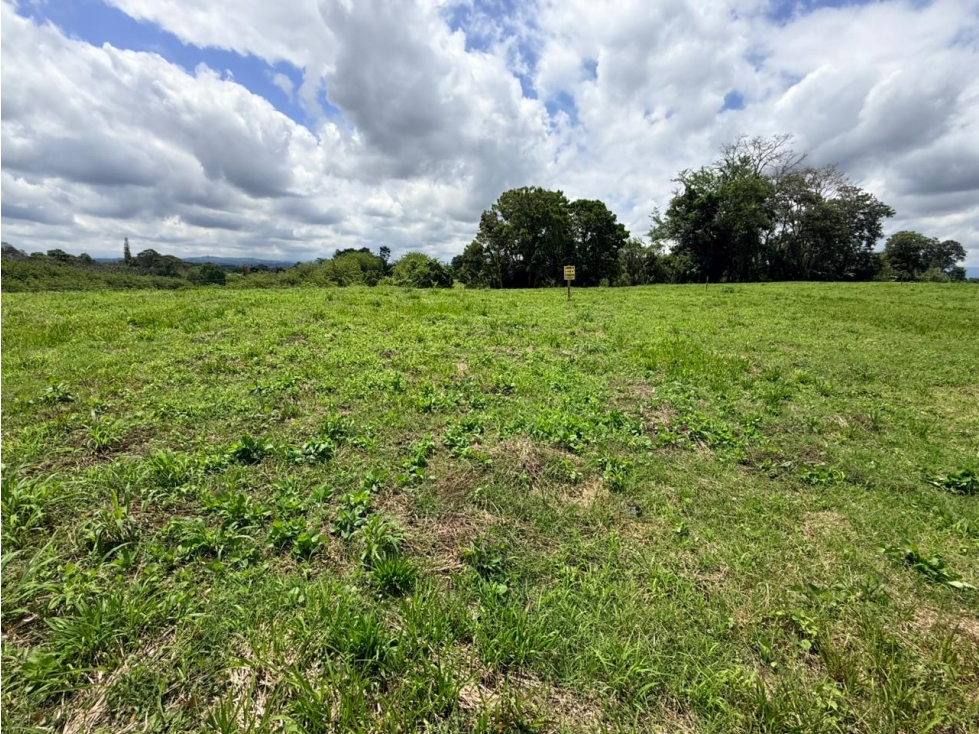Se Vende Lote Vía Montenegro - Quimbaya - Quindío