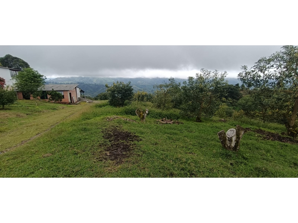 Se Vende Finca En Circasia - Quindío