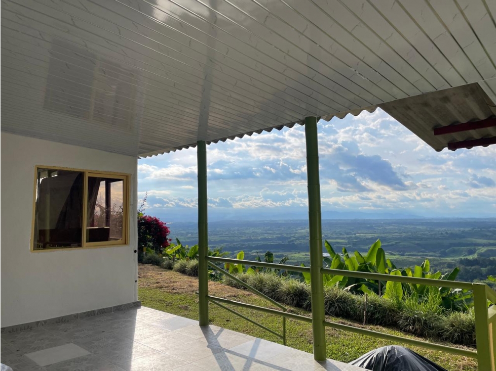 Se Vende Finca En Buenavista - Quindío - 6