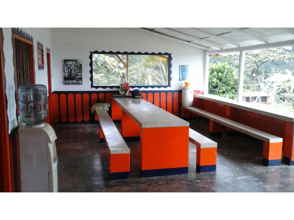 Se vende finca de 46 cuadras en Córdoba Quindío - 5