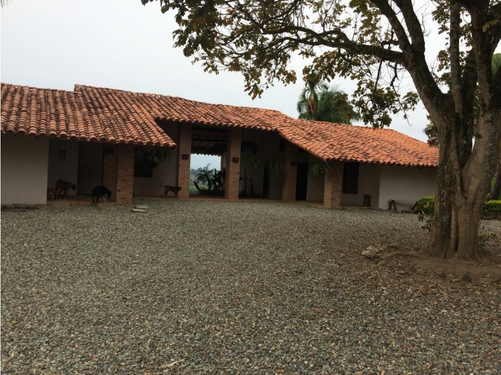 Se vende Finca En Caicedonia - Valle Del Cauca - 3