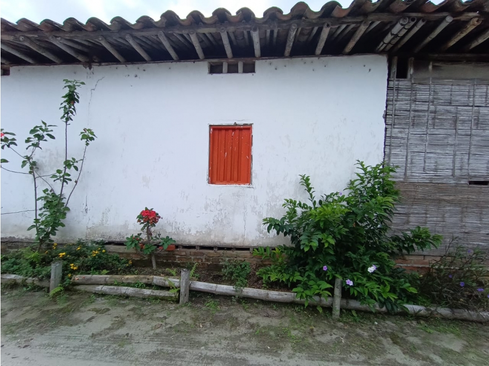 Se Vende Finca Vía La Tebaida