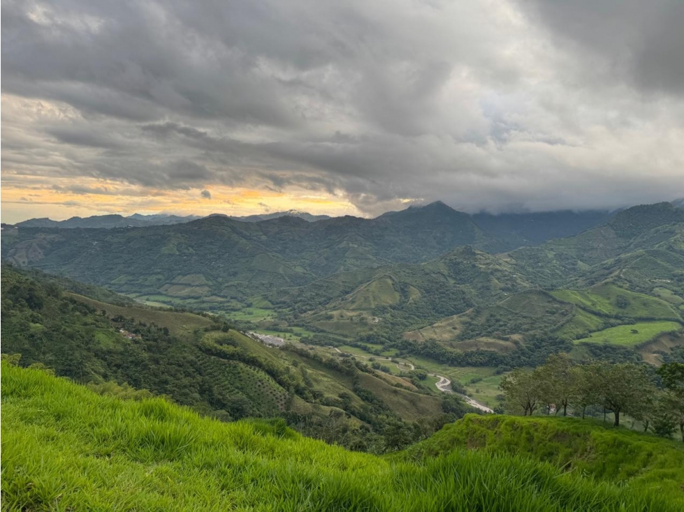 Se Vende Finca Ganadera En La Virginia - Risaralda - 6