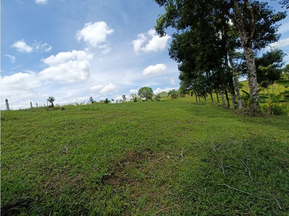 Se Vende Lote En Montenegro - Quindío — foto 4