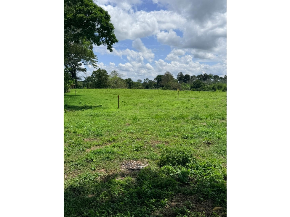 Se Vende Lote Vía Montenegro - Quimbaya - Quindío