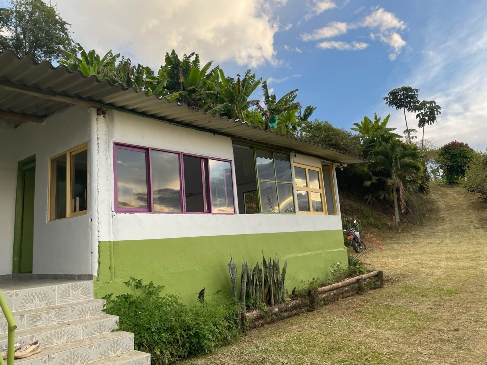 Se Vende Finca En Buenavista - Quindío - 4