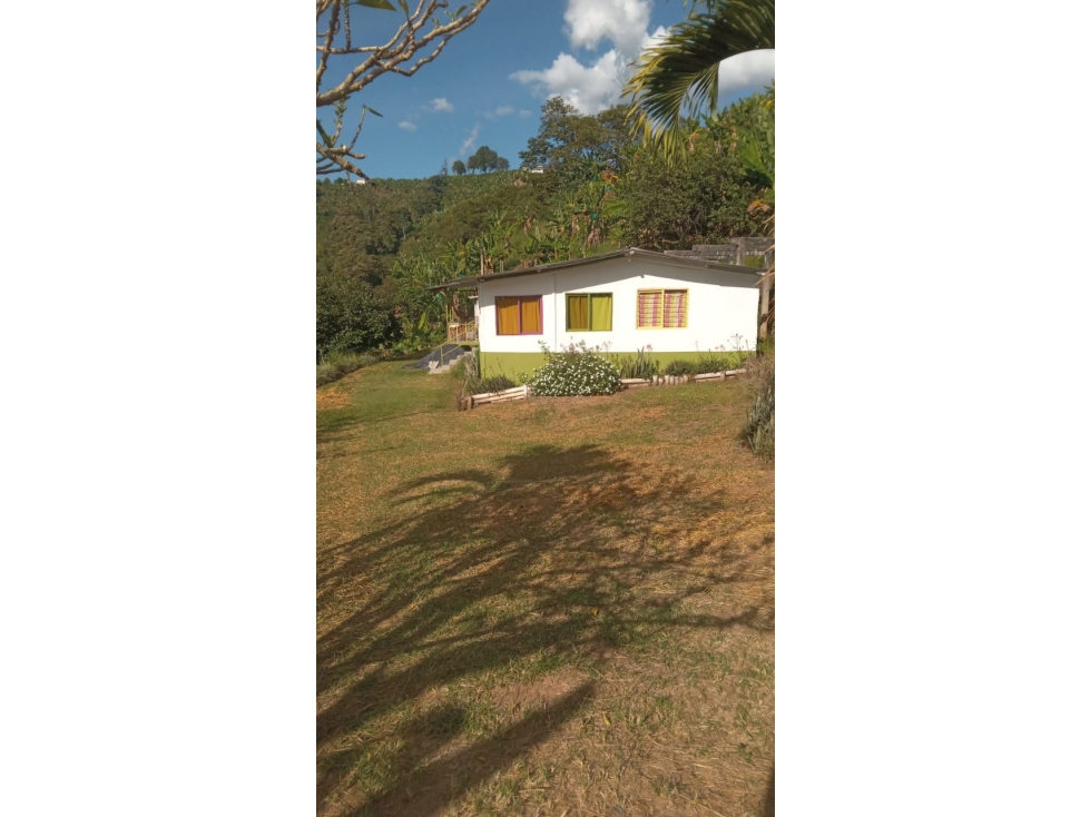Se Vende Finca En Buenavista - Quindío - 1