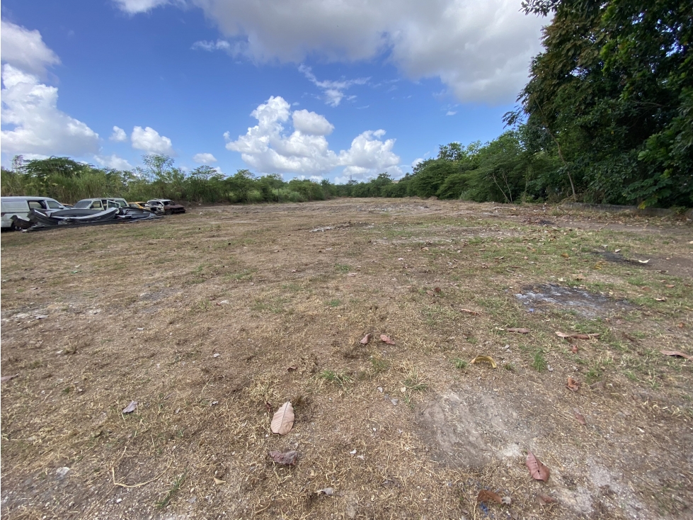 Vendo Terreno sobre Via Domingo Diaz (TMP) — foto 3
