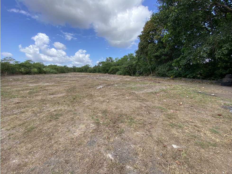 Vendo Terreno sobre Via Domingo Diaz (TMP) — foto 4