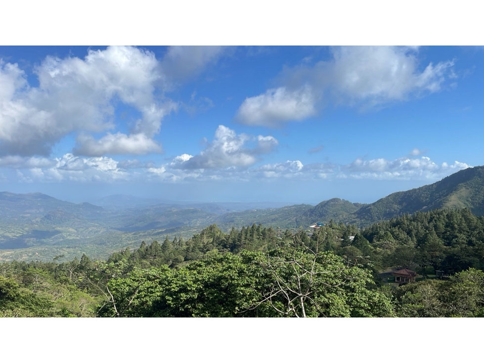 Mountain Estate w/Ocean Views Ideal for Boutique Hotel or Retreat — foto 4