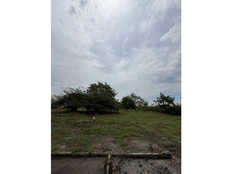 Lote en venta vía Alvarado/ tolima - 3