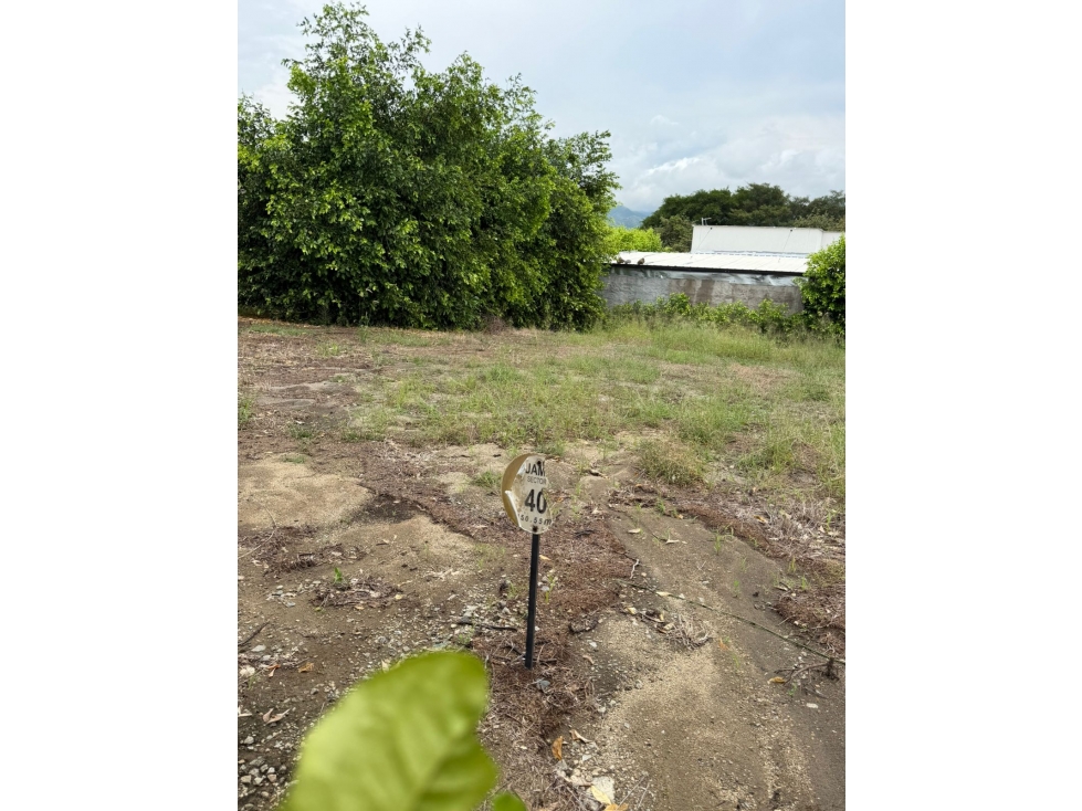 Lote en venta vía Alvarado/ tolima - 4