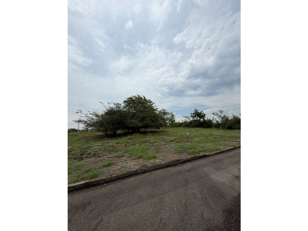 Lote en venta vía Alvarado/ tolima - 5