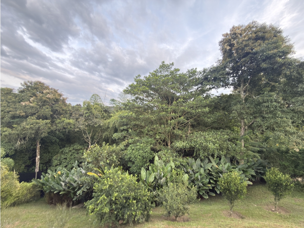 Casa campestre sector exclusivo del Quindio en venta — foto 4