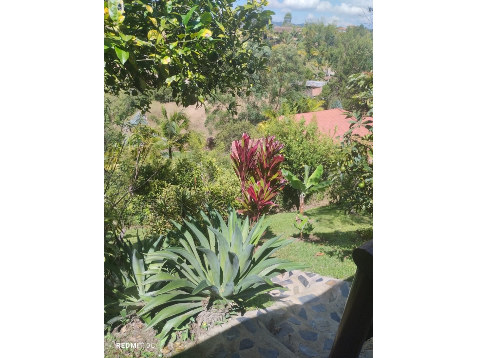 Finca en venta en El Peñol - 6