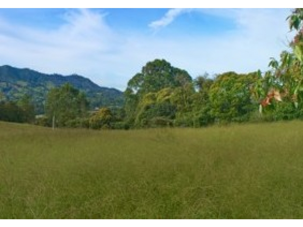 LOTE EN VENTA EN PARCELACIÓN EN LA VÍA LA CEJA - RIONEGRO — foto 2