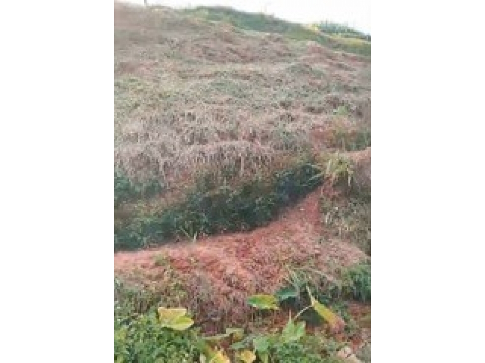 LOTE EN VENTA EN PARCELACIÓN EN PORCE, ANTIOQUIA SECTOR PORCESITO - 3