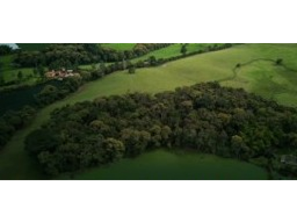 LOTE EN VENTA EN PARCELACIÓN EN LA VÍA LA CEJA - RIONEGRO — foto 3