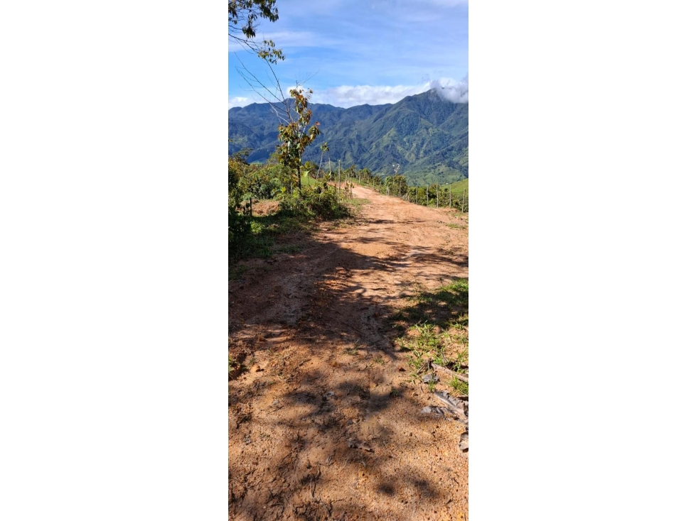 LOTE EN VENTA EN SAN RAFAEL ANTIOQUIA, A 12 KM DE GUATAPÉ - 5