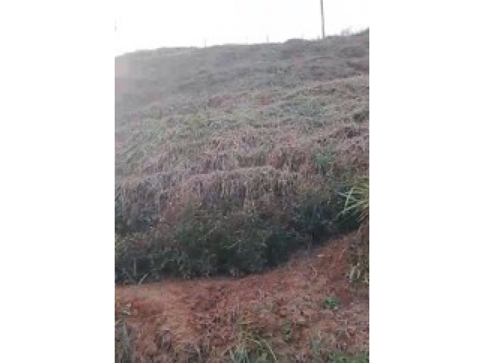 LOTE EN VENTA EN PARCELACIÓN EN PORCE, ANTIOQUIA SECTOR PORCESITO - 5