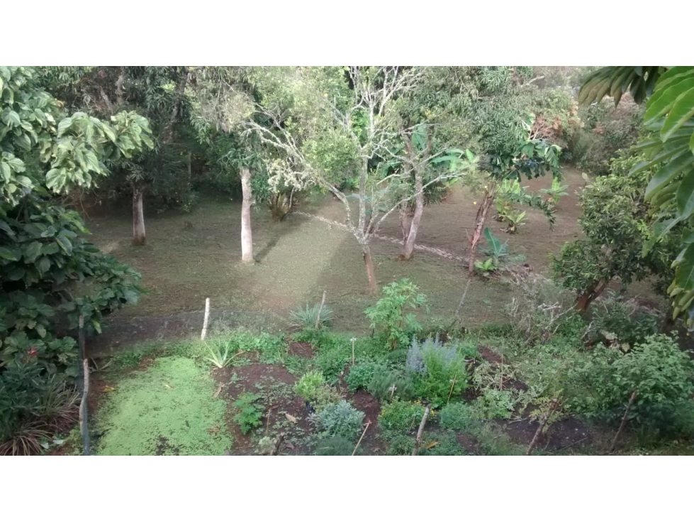 FINCA INDEPENDIENTE EN VENTA EN SOPETRÁN VÍA CORREGIMIENTO HORIZONTES — foto 6