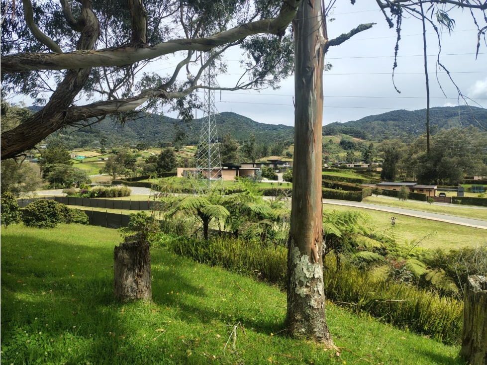 LOTES EN VENTA EN PARCELACIÓN EN VEREDA SAN MIGUEL SECTOR EL YARUMO — foto 6