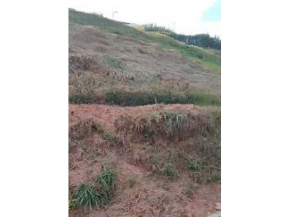 LOTE EN VENTA EN PARCELACIÓN EN PORCE, ANTIOQUIA SECTOR PORCESITO - 6