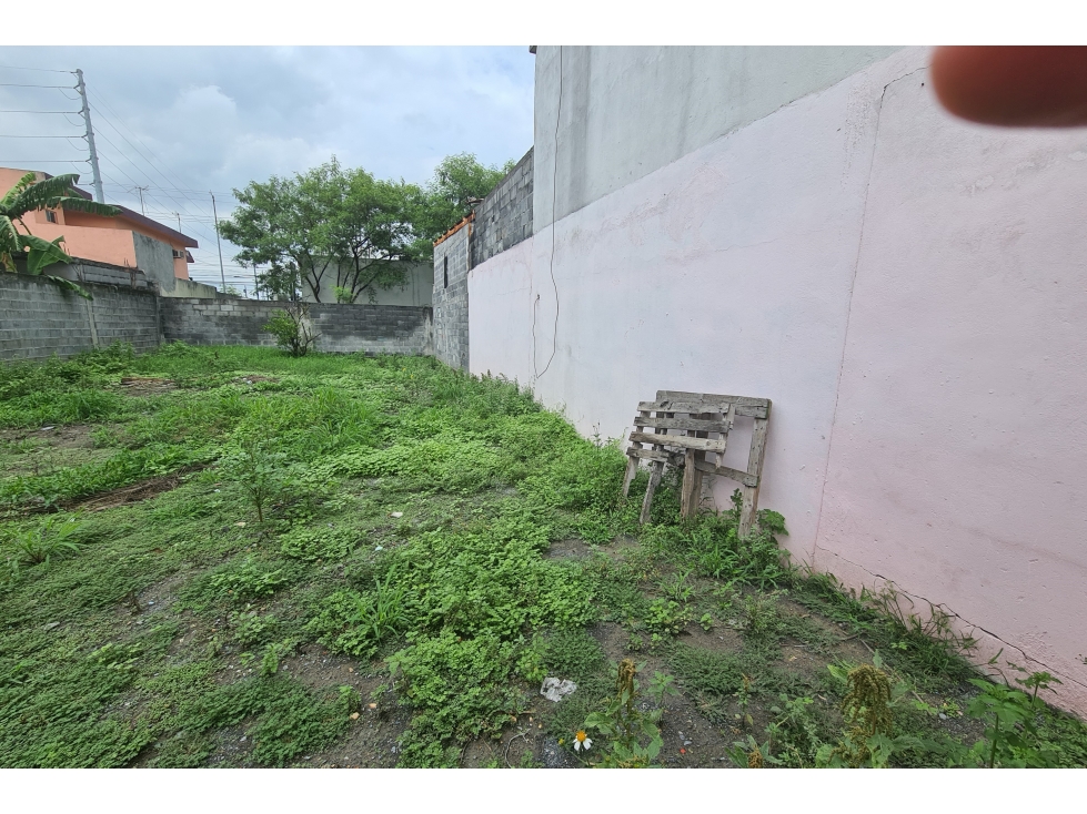 ECL VENTA TERRENO COLONIA NUEVO LEON EN GUADALUPE CALLE CHINA - 3