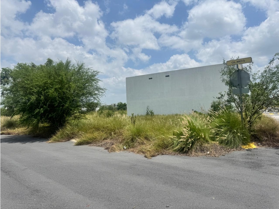 RMC TERRENO EN VENTA EN FRACC DALIAS RESIDENCIAL EN JUAREZ N L — foto 2