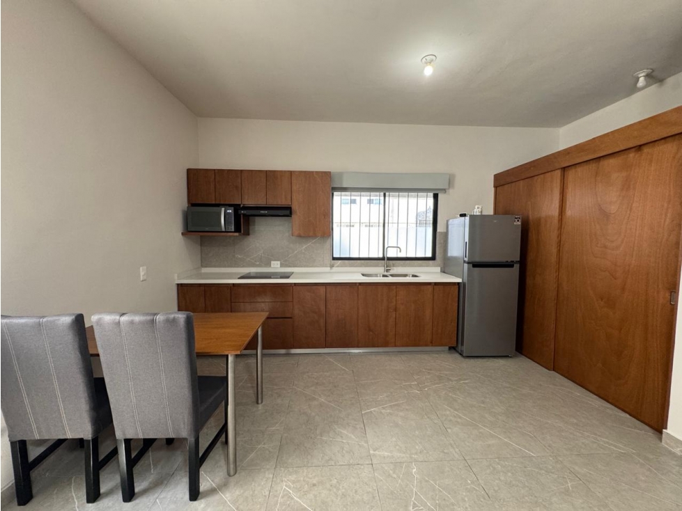 NBA LOFT AMUEBLADO EN RENTA EN LA COLONIA PIO DECIMO EN MONTERREY — foto 2