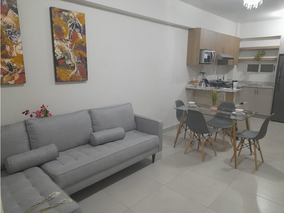 APV DEPARTAMENTO EN RENTA EN LIVING SAN NICOLAS DE LOS GARZA - 5